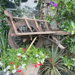 Un vieux banc en bois près d'une fenêtre, entouré de verdure luxuriante comprenant un grand pot avec des fleurs blanches et rouges, une plante à longues feuilles rayées, et des arbustes fleuris. L'arrière-plan montre un arbre à l'écorce texturée et une fenêtre avec des plantes grimpantes.