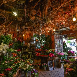 Intérieur du magasin chaumière verte, fleuriste boulogne billancourt, chaleureux, fleuri